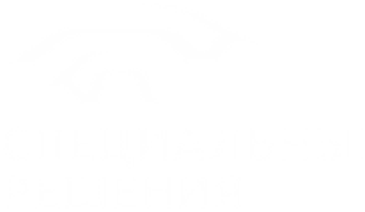 Специальные решения